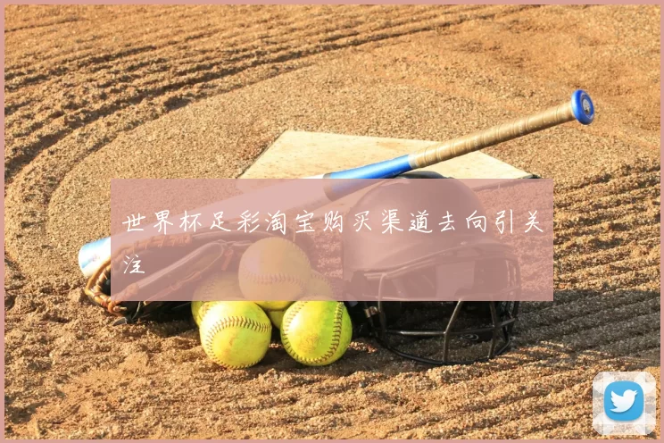 世界杯足彩淘宝购买渠道去向引关注