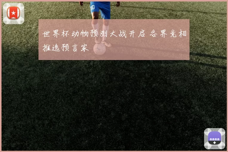 世界杯动物预测大战开启 各界竞相推选预言家