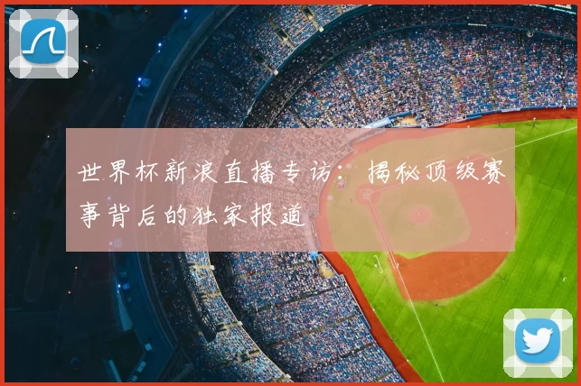 世界杯新浪直播专访:揭秘顶级赛事背后的独家报道