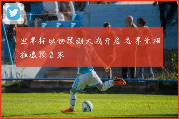 世界杯动物预测大战开启 各界竞相推选预言家