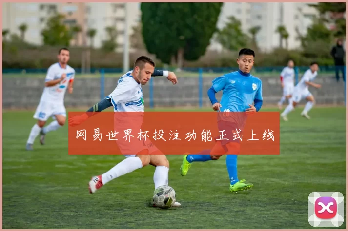 网易世界杯投注功能正式上线
