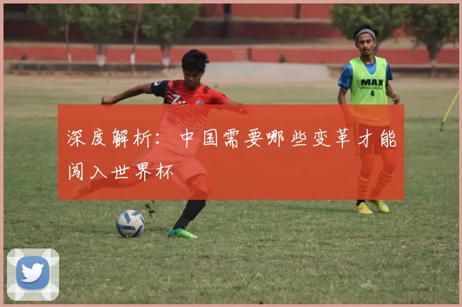 深度解析:中国需要哪些变革才能闯入世界杯