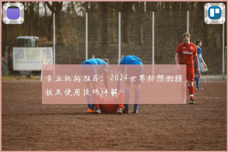专业机构推荐:2024世界杯预测模板及使用技巧详解