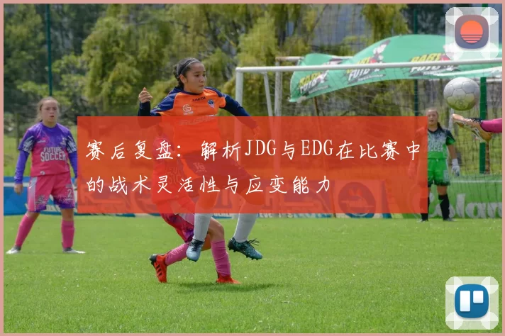 赛后复盘:解析JDG与EDG在比赛中的战术灵活性与应变能力