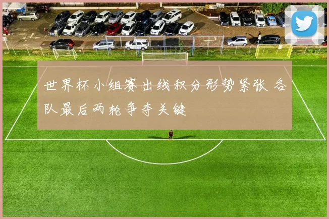 世界杯小组赛出线积分形势紧张 各队最后两轮争夺关键