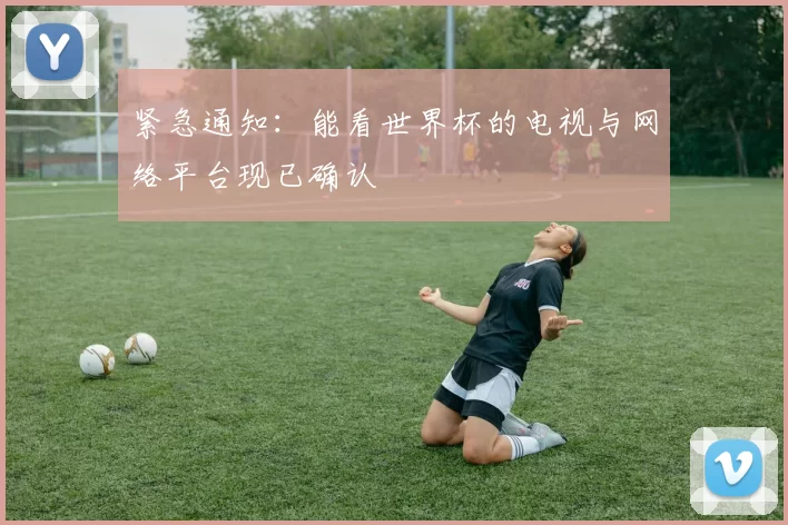 紧急通知:能看世界杯的电视与网络平台现已确认