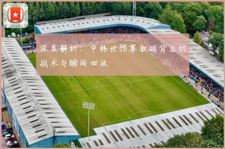 深度解析:中韩世预赛激战背后的战术与瞬间回放