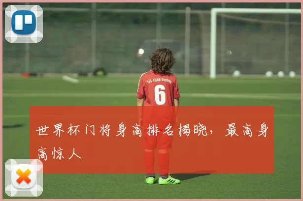世界杯门将身高排名揭晓,最高身高惊人
