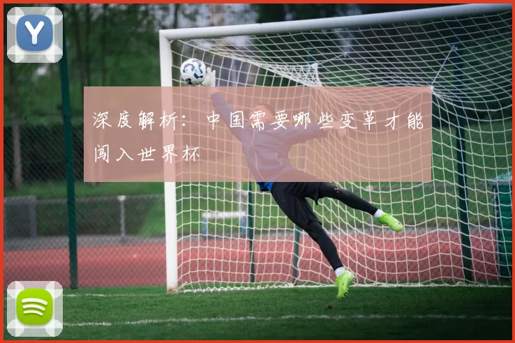 深度解析:中国需要哪些变革才能闯入世界杯