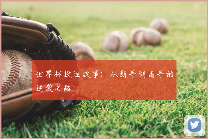 世界杯投注故事:从新手到高手的逆袭之路